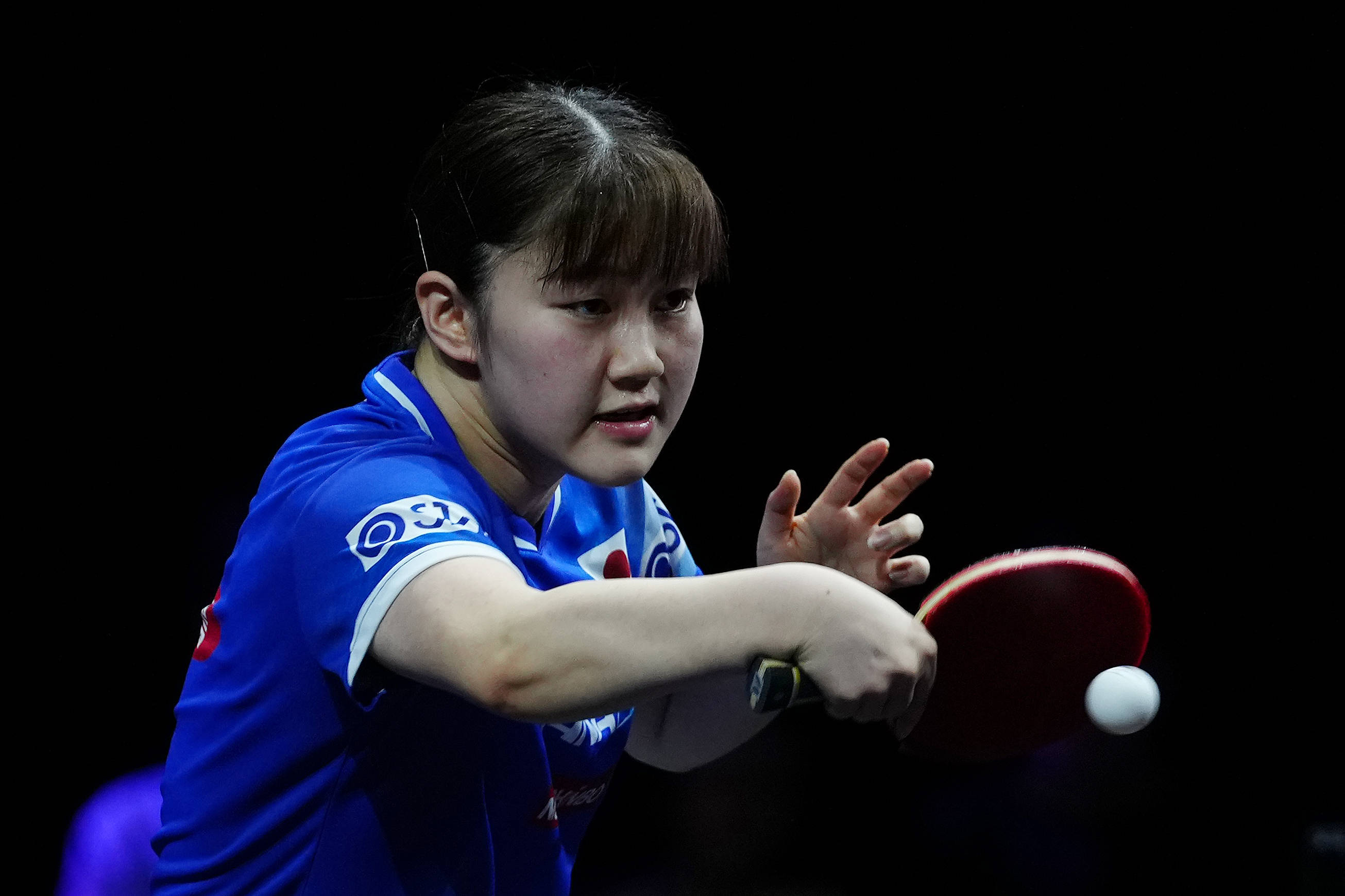 食物链扰动 食物链扰动